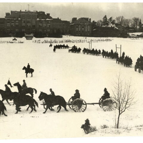 Barton Alumni field, horses, casons, snow